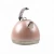 Import Instant Hot Water kettle induction water kettle kitchen appliance from China