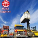 international DHL express shipping include customs clearance service
