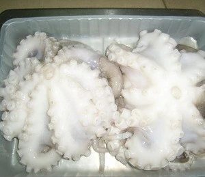 IQF Frozen Baby Octopus
