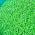 Import IQF Green Pea frozen vegetables product from China