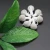 Import Jianchi Intimate Tampon Manufacturers Nourish Antibacterial Organic Tampons from China