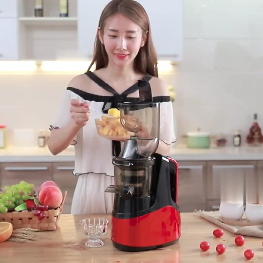Juicer Slow Masticating Juicer Extractor, Cold Press Juicer Machine, Quiet Motor and Reverse Function