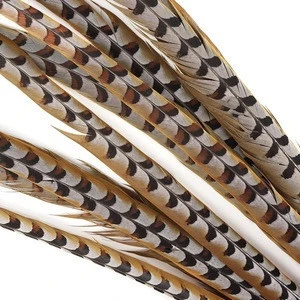 Lady Amherst Pheasant Tail Feathers /Lady Amherst Pheasant Tail Feather Long Dyed Pheasant Feathers