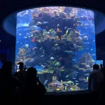 Large inventory aquarium acrylic high quality 10 gallon plastic tank fish