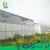 Import Large Size Tunnel agricultural equipment galvanized pipe for greenhouse clear plastic film from China