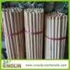 Long Broom in Broom &amp Dustpans/ Long Broom Handle