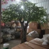 Looks Old Artificial Big Oak Trees Ficus Tree for Decoration
