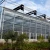Import Low Cost Commercial Glass Greenhouse For Large-Scale Production from China