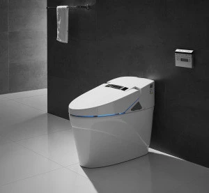 Luxury Hotel Supply Dual-flush Japanese Automatic Toilet ZJS-03
