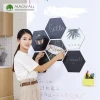 Magwall enterprise Logo hexagonal decorative magnetic sticker modeling plate magnet wall decor