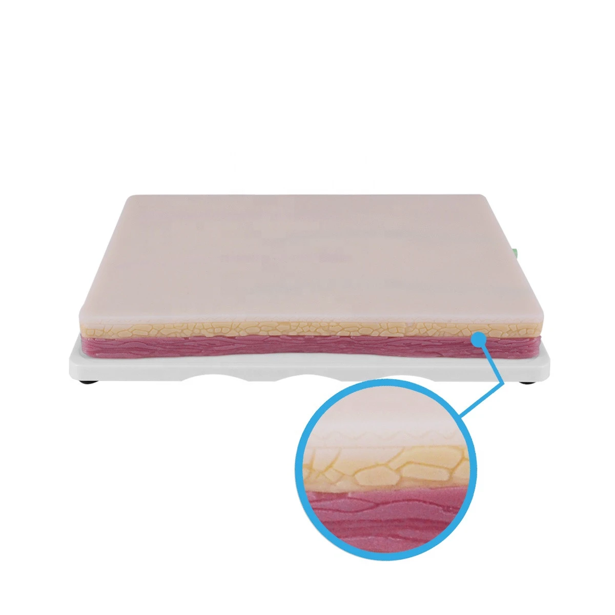 Medical IV Injection Model Venipuncture Injection Practice Pad  IV Training Pad