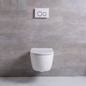 Modern rimless flushing system bidet toilet seat bathroom toilet bowl ceramic wc wall hung toilets