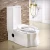 Import Modern sanitary ware multifunction one piece toilet ceramic squatting toilets from China