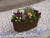 Import Modern Style Garden Supplies Large Pot Plant For Wholesale from Japan