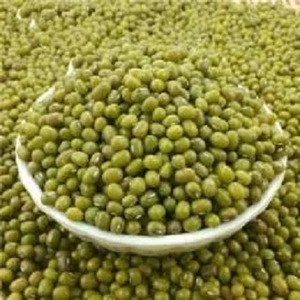 Moong Dal Fresh Green Mung Beans from From Gabon / Tanzania