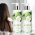 Import Natural Organic Recovering Nourishing Anti Hair Loss Plant Stem Cell Shampoo Private label from China