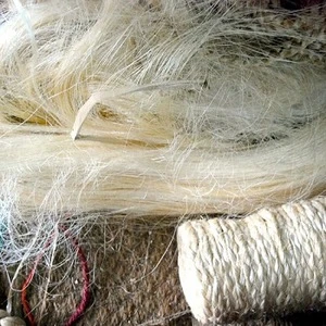 natural sisal fibres available in 1 kg bags for school and college projects and for fibre stores