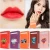 Import New Cigarette Liquid Lipstick Waterproof Pigment Vegan Makeup Tattoo Lipstick Lip Gloss Set from China