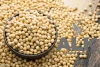 New Crop High Quality GMO/ non-GMO Soybeans for Food and oil Exprassing in Bulk