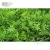Import New design custom jungle style vertical plant wall artificial hanging plant Green grass wall home decoration from China