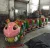 Import New design electric train for amusement park from China