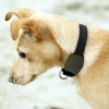 New inventions smart mini gps tracker pets health care products for pets wholesale