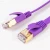 Import New Jacket Network gold plated cat7 sftp ethernet patch cord flat rj45 ftp 3m 25 ft 100ft cat 7 plug communication cable price from China