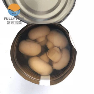 New season of Canned champignon mushroom manufacturer with factory price