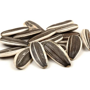 organic high Sunflower Seed kernels for sale