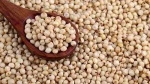 Organic Indian White Sorghum