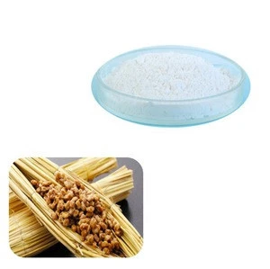 Organic Natto Extract Nattokinase Powder with Favorable Price