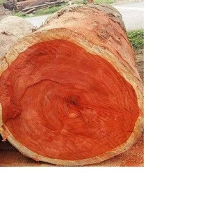 Padouk Logs And Sawn Timbers