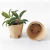 Import Peat Compostable Planting Pot Seed Growth Kit Nursery Cup Nursery Trays & Lids Plant Fiber Paper Pulp from China