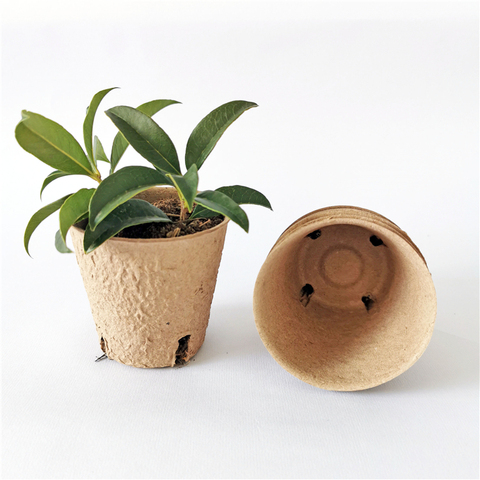 Compostable Planting Pot Buy Peat Compostable Planting Pot Seed Growth Kit Nursery Cup Nursery ...