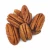 Import Pecan Nut, Roasted Salted Pecans/Raw Pecan Nuts With Shell from South Africa