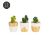 Personalized pattern fashion style stand succulent set / ceramic succulent artificial plant