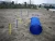 Import Pet agility training kit equipment with dog play run jump weave poles tunnel and pause box from China
