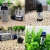 Import Plant Foot heightening Essential Oil Height Growth Body Care Soothing Foot Health Skin Care Promote Bone Growth Oil from China