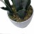 Import Plastic artificial bonsai snake plant/sansevieria/agave artificial ornamental plant for indoor decoration from China