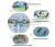 Import Playground Bumper Ball Toy Pvc Item Style Material for kids and adults from China