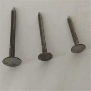 Polished Common Nail, Common Iron Wire Nail with Best Quality