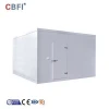 portable cold room for fruit, vegetable ,fruit and meat