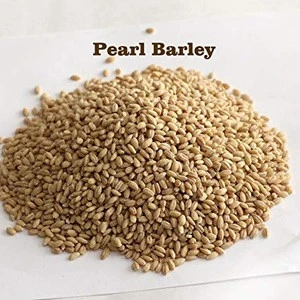 Premium Barley Exporter