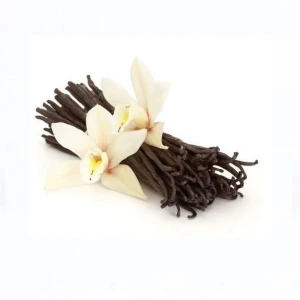 Premium quality extract grade Sri Lanka Vanilla beans/Pods 6-10 inches long | bulk vanilla beans