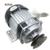Professional manufacturer customized BM1418ZXF 750W 48V 60V DC brushless pulley gear scooter/electric bicycle motor