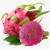 Import Provider Of The Best Fresh Red Dragon Fruit In Viet Nam from Vietnam