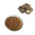 Import Pure Natural Maca Root Extract Powder as Herbal Tea from China
