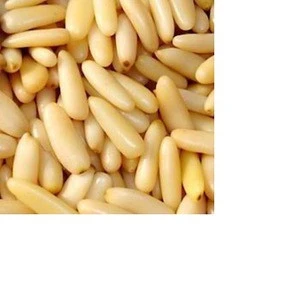 Quality Grade A  Pine Nuts  for Sale