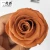Import real eternal forever rose flower DIY preserved rose head for decoration from China