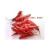 Import Sannam Dry Red Chilli Supply in Bulk Quantity at Market Price from India